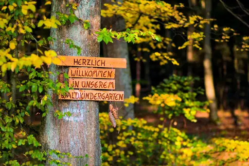 Schild Waldkindergarten