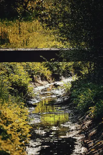 Brücke Feldentwaesserung Mainauen Bayreuth Am BKH