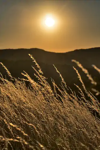 Gars Sonnenuntergang Burgruine Niesten Weismain